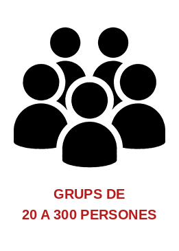 grupos